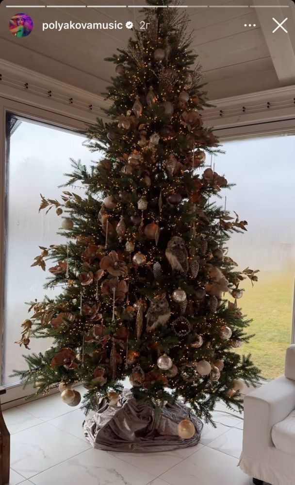 Оля Полякова / © instagram.com/polyakovamusic