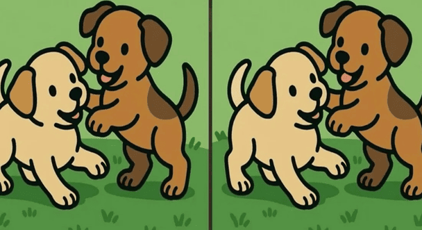 Знайдіть три відмінності за 51 секунду / © Фото з відкритих джерел