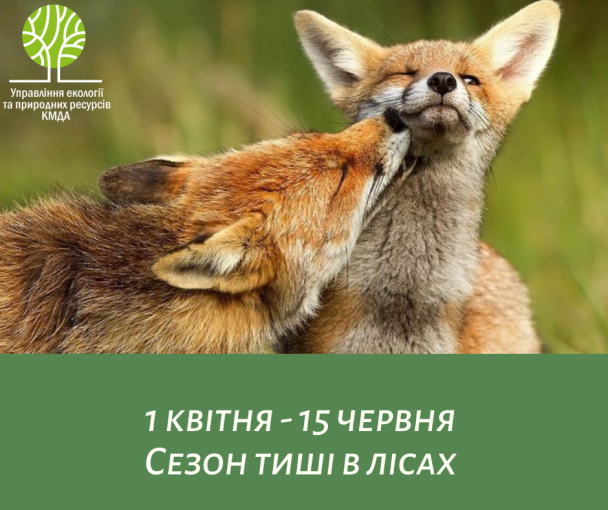  / © КГГА