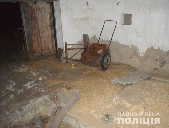 "З Сашею були як сестри": подробиці вбивства 16-річною школяркою своєї матері у Вінницькій області