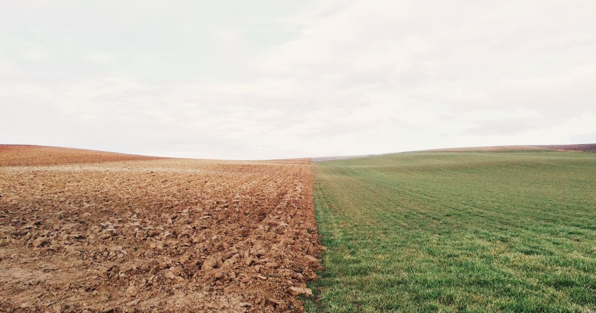У Львівській області затримали депутата, який відчужував землі Міноборони
