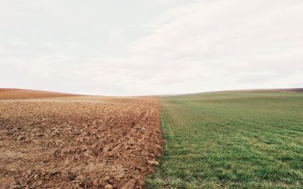 В Украине заработал рынок земли: какова будет стоимость гектара чернозема