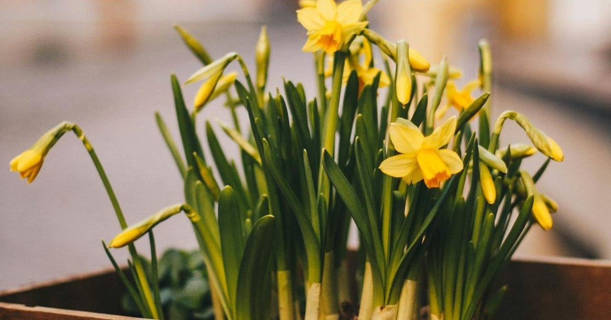 Який сьогодні, 6 березня, день ангела