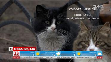 Якої погоди чекати на вихідні в Україні