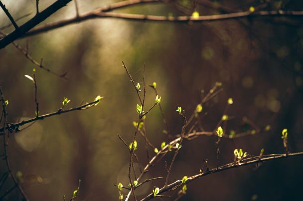 Народные приметы 12 марта / © Unsplash