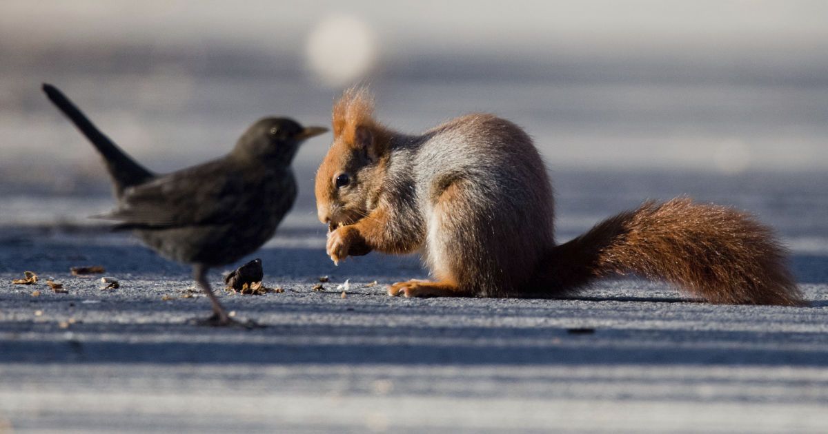 Прогноз погоди на 15 вересня: в Україні буде сонячно, температура - до +29