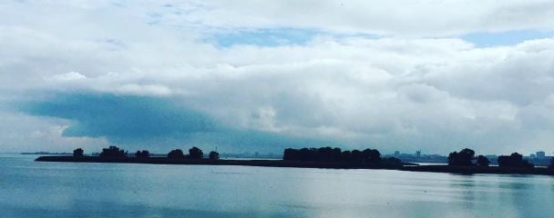  / © www.flickr.com/Alyona Dryuchilo