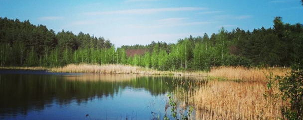  / © www.instagram.com/irene_bublii