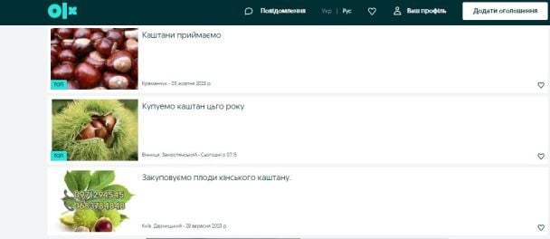 Покупка каштанов