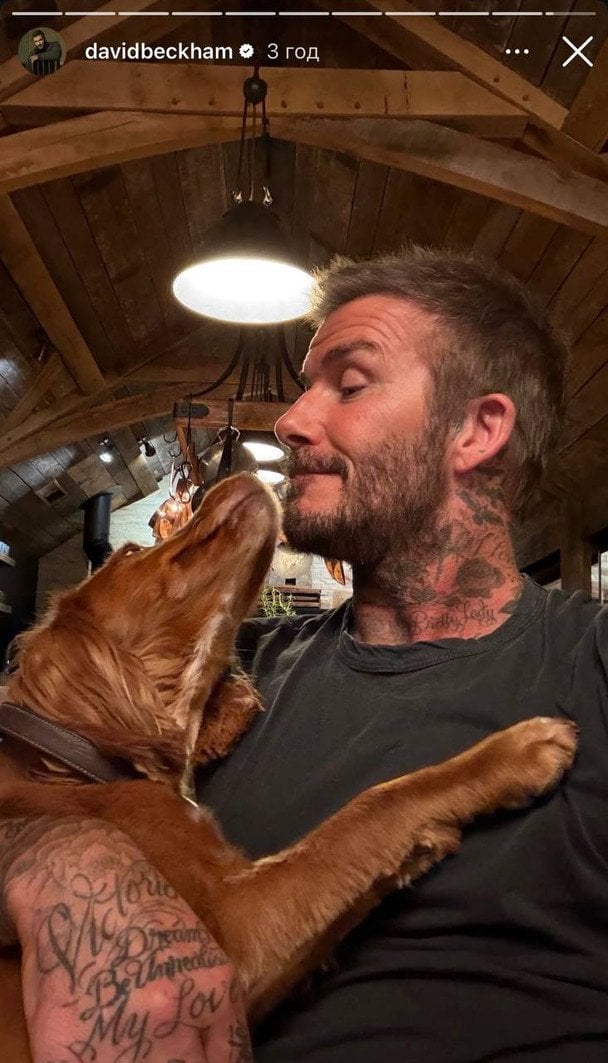Дэвид Бекхэм с собакой / © Instagram Дэвида Бекхэма