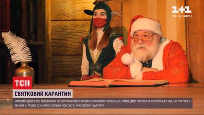 Новорічна програма під час пандемії: скільки коштує привітання Діда Мороза з негативним ПЛР-тестом