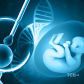 На шляху до вдалого ЕКЗ: навіщо потрібна преімплантаційна генетична діагностика