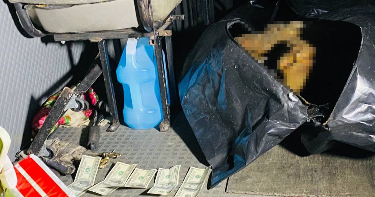 Тіло пролежало у квартирі понад 7 місяців: у Києві адвокат намагався заволодіти житлом померлого