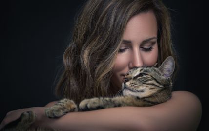 Время теплых котов: в чем особенность осеннего секса