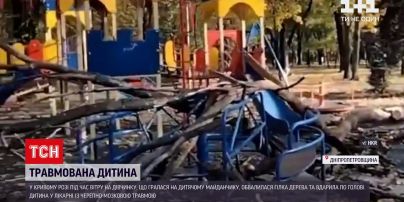 Новости Украины: на 4-летнюю девочку упала ветка дерева на детской площадке