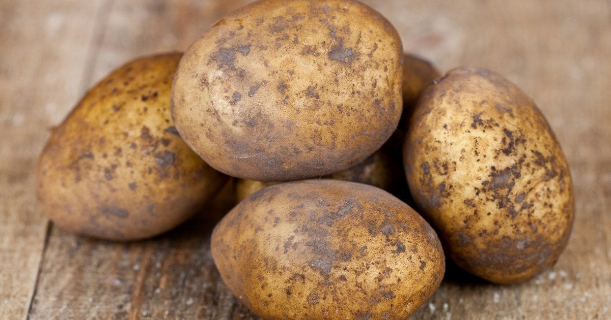 Чим обробити картоплю перед висаджуванням