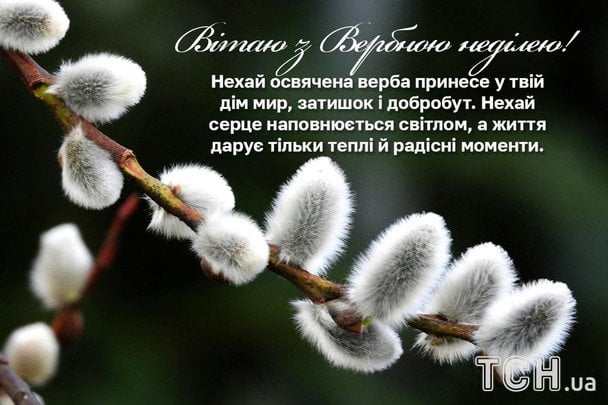 Привітання з Вербною неділею / © ТСН