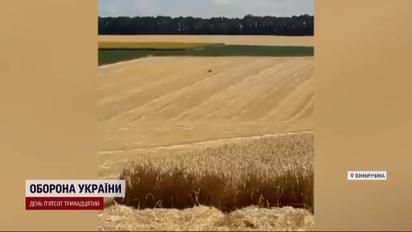 Бурый медведь в Винницкой области - жителей области призывают быть осмотрительными