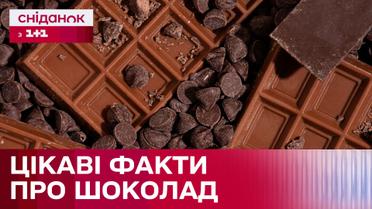 То, что вы не знали о шоколаде! Популярные мифы и факты