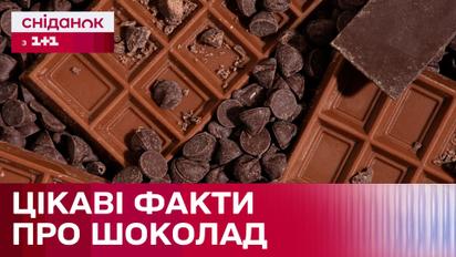 То, что вы не знали о шоколаде! Популярные мифы и факты