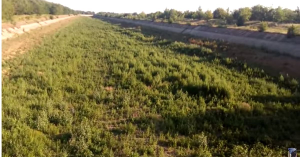 Північно-Кримський канал руйнується