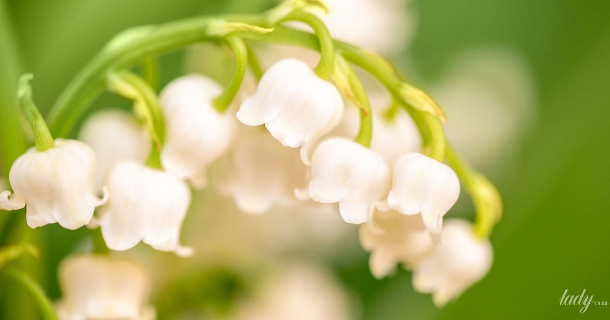 Гороскоп на 15 мая для всех знаков Зодиака: день, когда важно поймать дзен