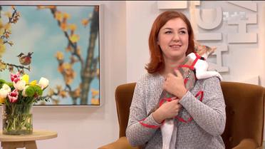 У гостях “Сніданку з 1+1” власниця сіамських котів Ольга Прохорова