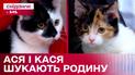 Сестрички Ася і Кася шукають родину – Кохання з першого мяу/гав