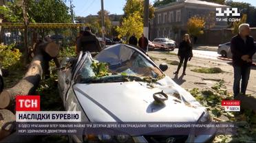 Новости Украины: тепло идет в страну с ураганными ветрами