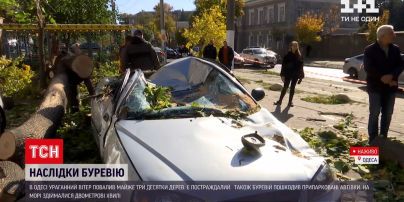 Новости Украины: тепло идет в страну с ураганными ветрами