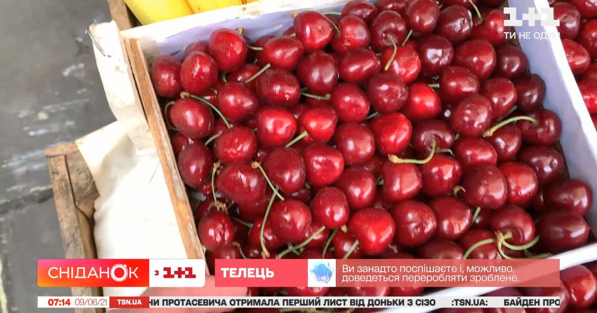 Где найти деньги на собственное дело, какие цены на недвижимость и черешню – Экономические новости