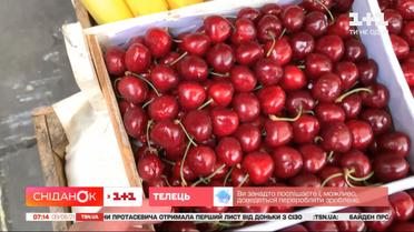 Где найти деньги на собственное дело, какие цены на недвижимость и черешню –  Экономические новости