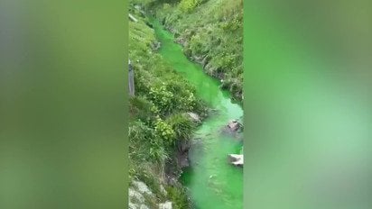 Во Львове река Зубра стала ярко-зеленой