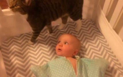 Видео невероятно трогательной реакции младенца на знакомство с кошкой очаровало юзеров