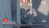 Без одежды на велосипеде: во Франции провели первый голый велопробег