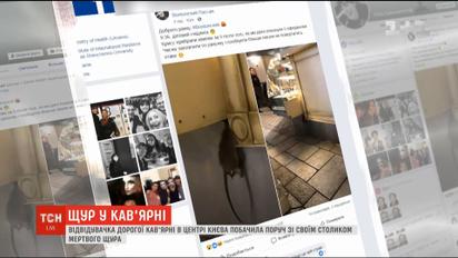 У столичній кав'ярні відвідувачка побачила мертвого щура