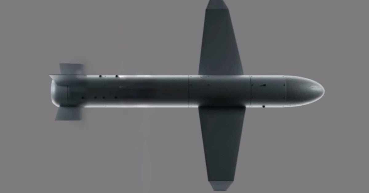 Українська ракета-дрон "Паляниця"/ ФОТО: United24