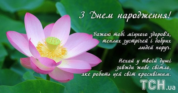 Привітання з Днем народження / © ТСН
