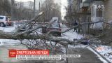 У Харкові 60-річний чоловік загинув через гілку, яку вітром відірвало від дерева