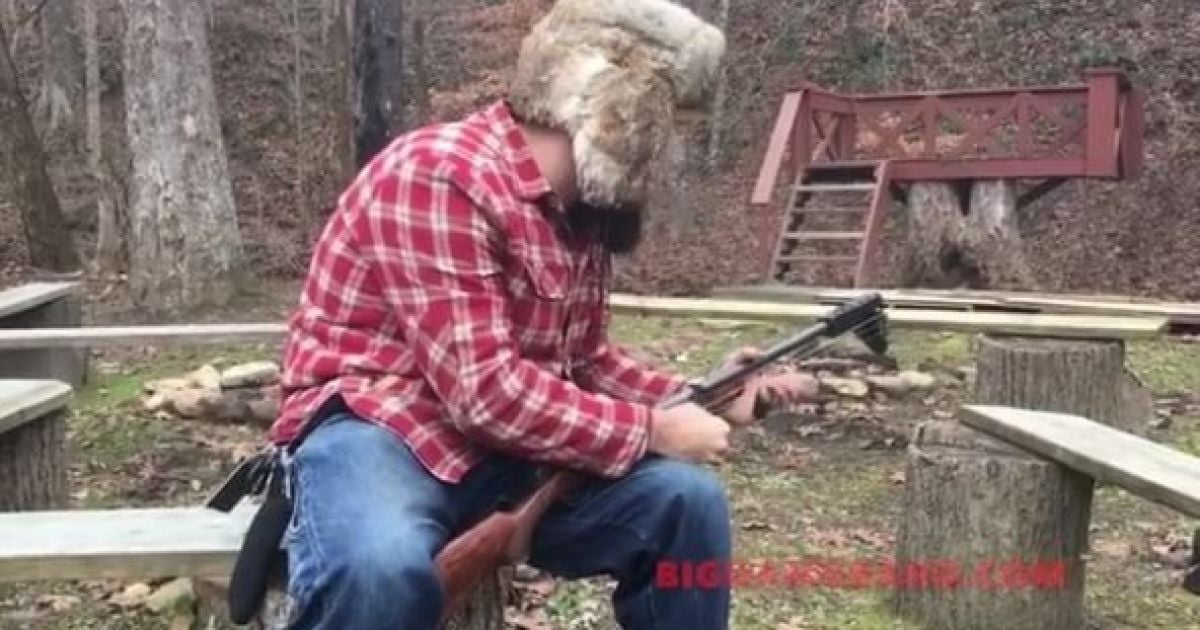 Спасение котенка из-под колес авто и музыкант, играющий на ружье. Тренды Сети