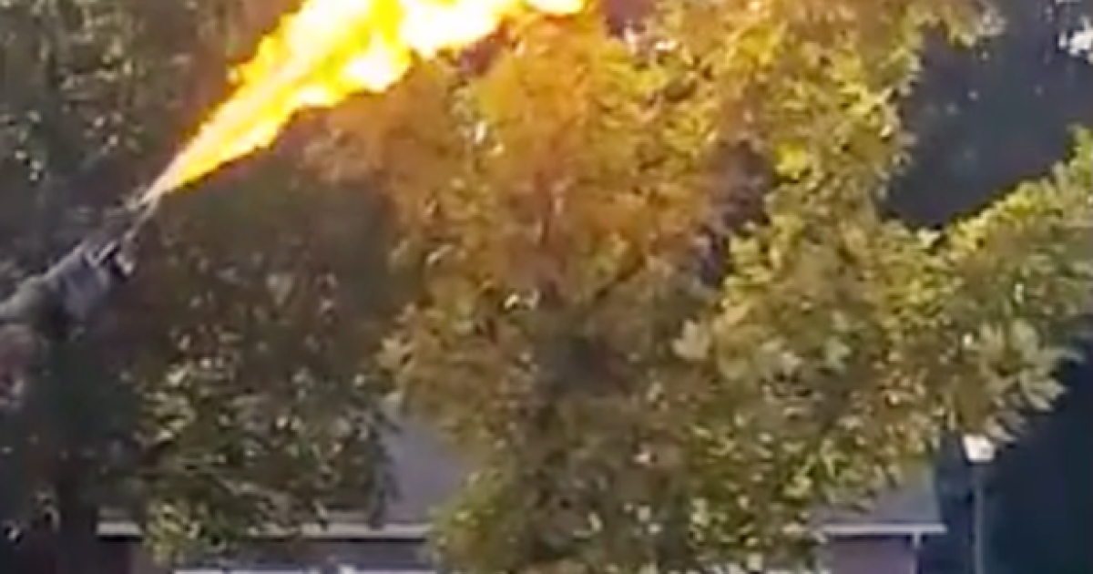 Видео стало "вирусным" в Сети.