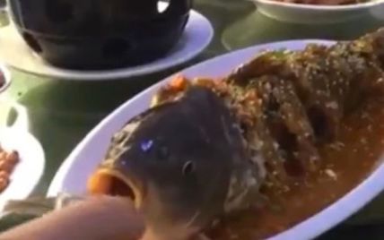 Приготовленная и поданная на тарелке рыба внезапно ожила после глотания алкоголя