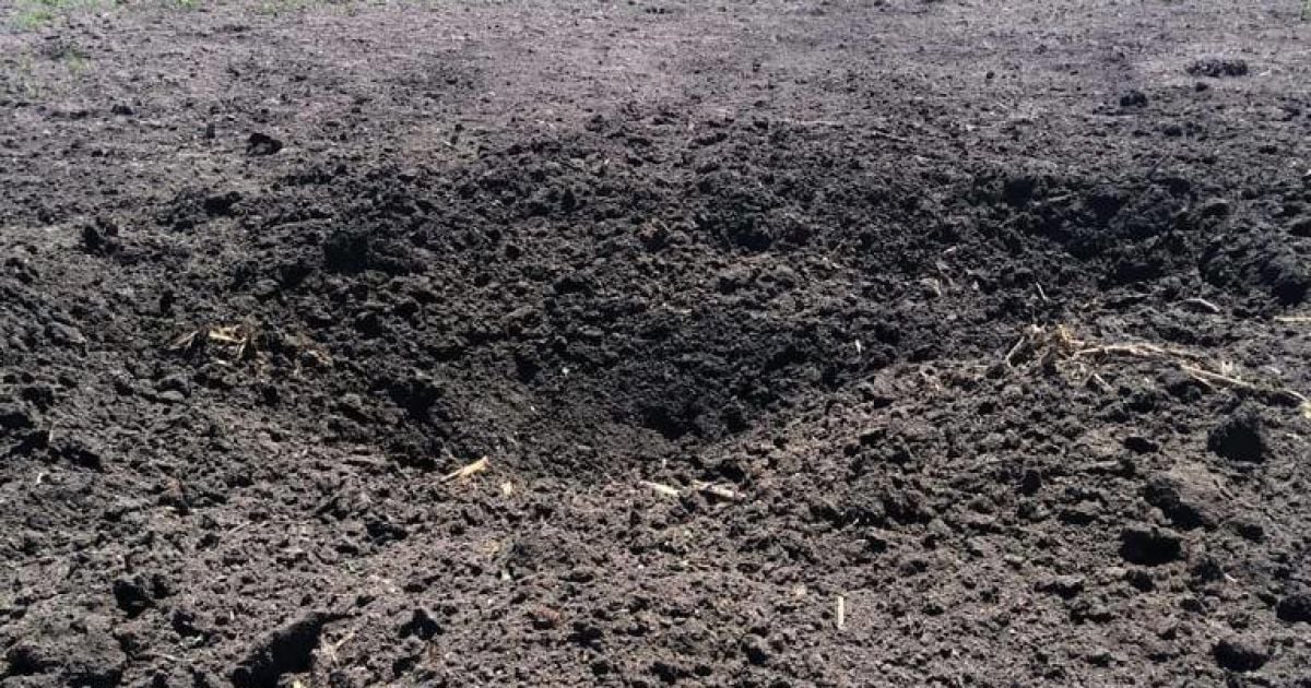 Фото: ДПСУ та ОК "Північ"