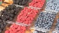 Продукти для довголіття