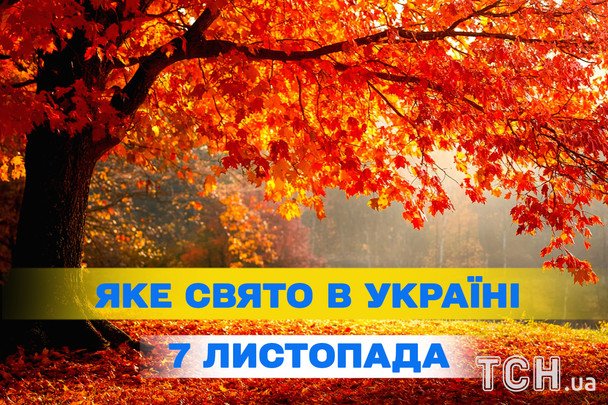 Яке 7 листопада свято — все про цей день, яке церковне свято