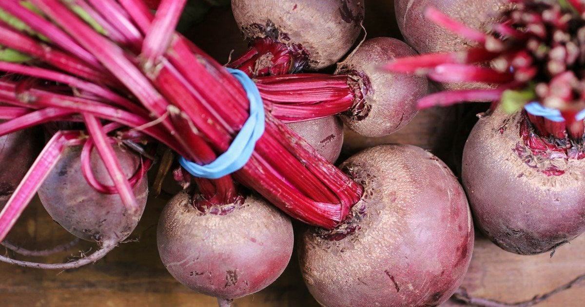 Зберігання буряка до весни