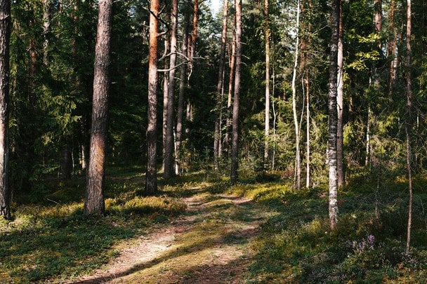 Народні прикмети 3 жовтня / © unsplash.com