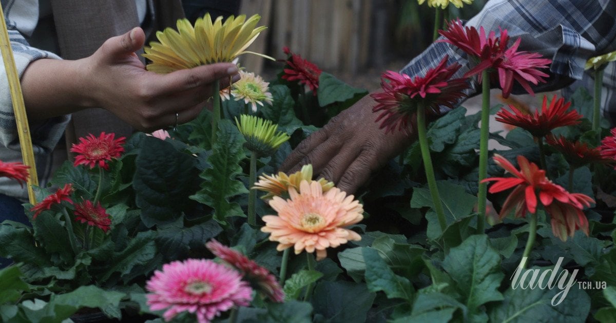 Топ-5 садових трендів 2026 року