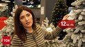 До 12 тисяч гривень! Ціни на ялинки у 2025-му - чи кожен знайде щось на свій гаманець
