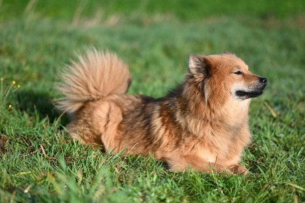 Фото: Pexels / © Pexels